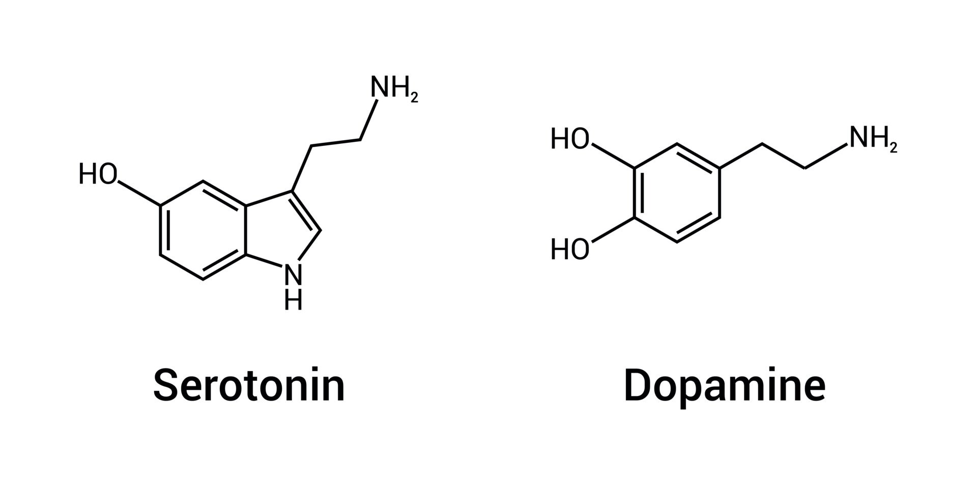 Dopamine and Serotonin: Our Own Happy Chemicals 2 chemical structure of serotonin and dopamine