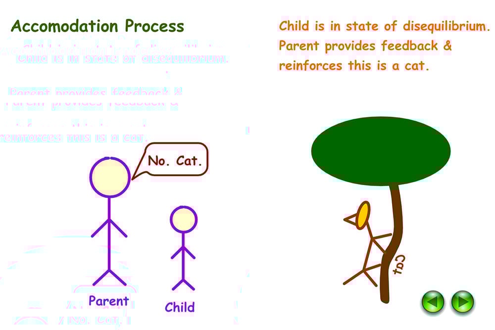 Example of accommodation in Psychology