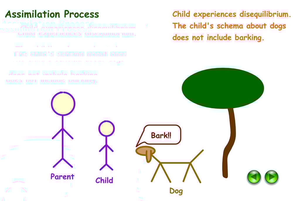 Example of assimilation in Psychology